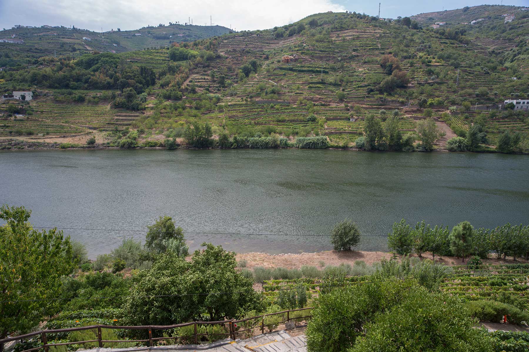 Douroflodens vinhuse