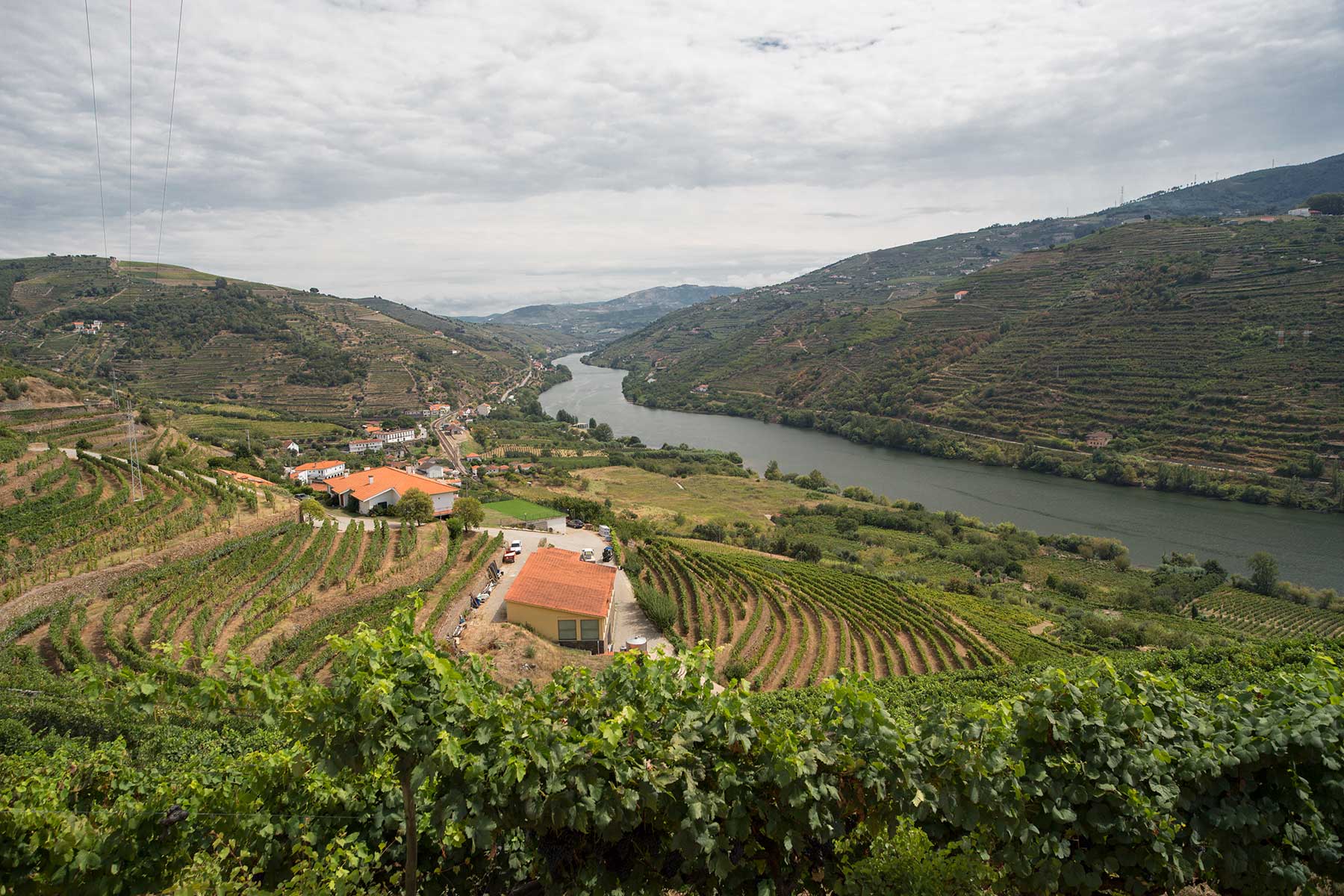Douroflodens vinhuse