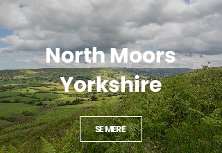Billeder fra North Moors i Yorkshire