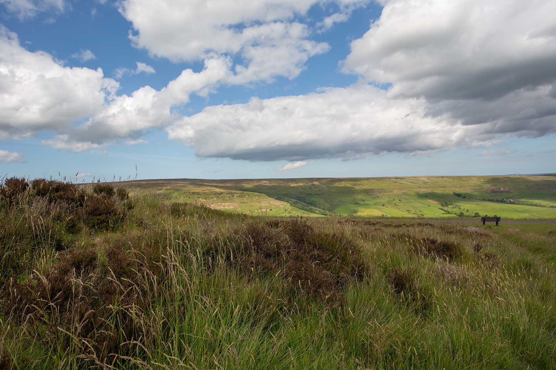 North Moors