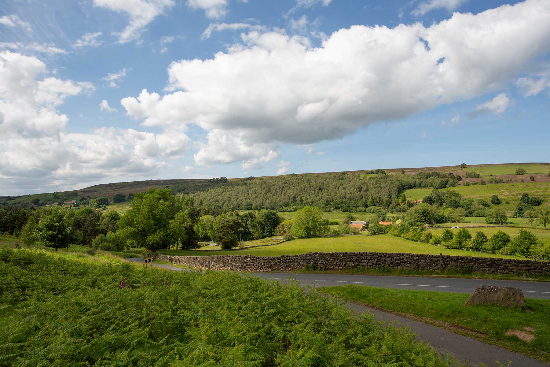 North Moors