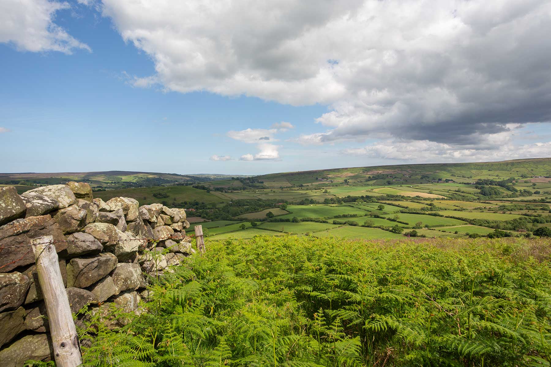 North Moors