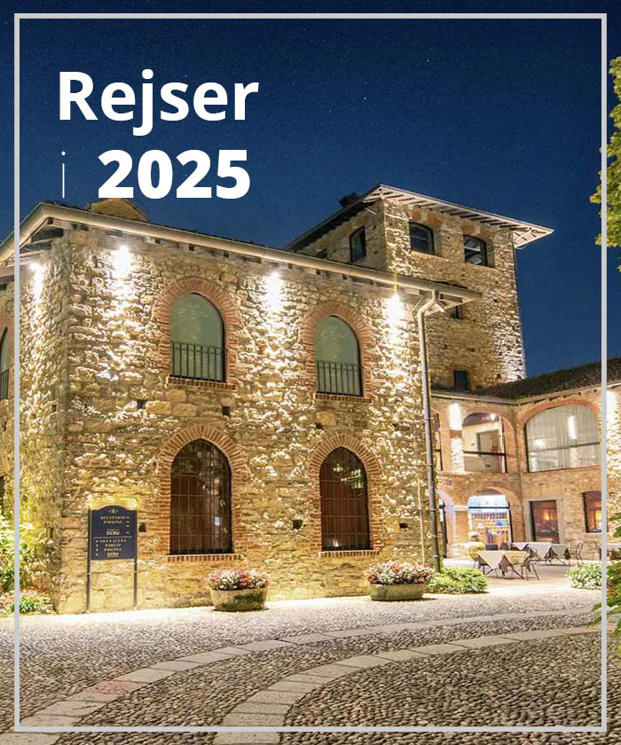 Rejser i 2025